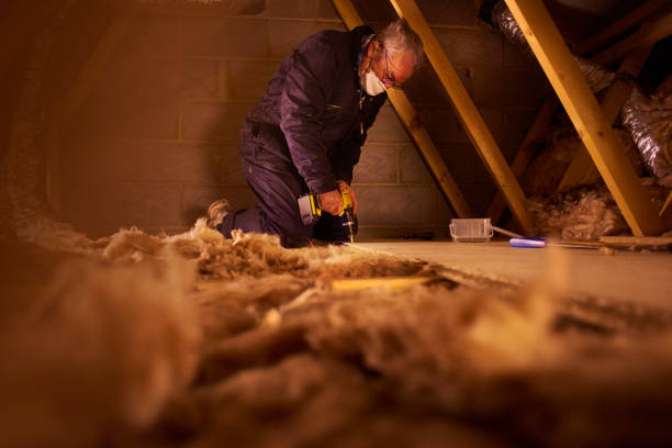 Best DIY Insulation Kits and Guidance in Cary, IL